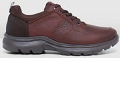men's work and walk chesnut shoe